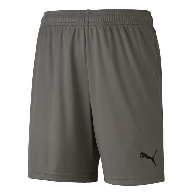 Puma - Kids’ (Junior) TeamGoal 23 Knit Shorts (704263 13)