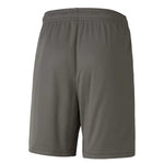 Puma - Kids’ (Junior) TeamGoal 23 Knit Shorts (704263 13)