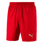 Puma - Men's Liga Core Shorts (703436 01)