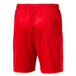 Puma - Men's Liga Core Shorts (703436 01)