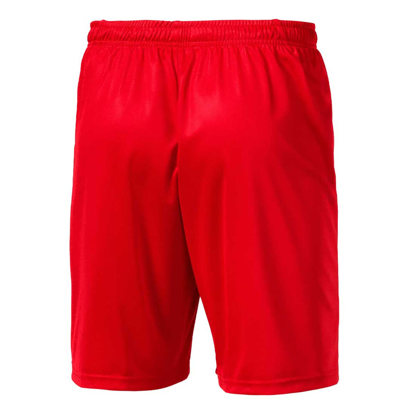 Puma - Men's Liga Core Shorts (703436 01)