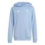 adidas - Kids' (Junior) AFA Argentina 50th Anniversary DNA Hoodie (JM2849)
