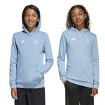 adidas - Kids' (Junior) AFA Argentina 50th Anniversary DNA Hoodie (JM2849)