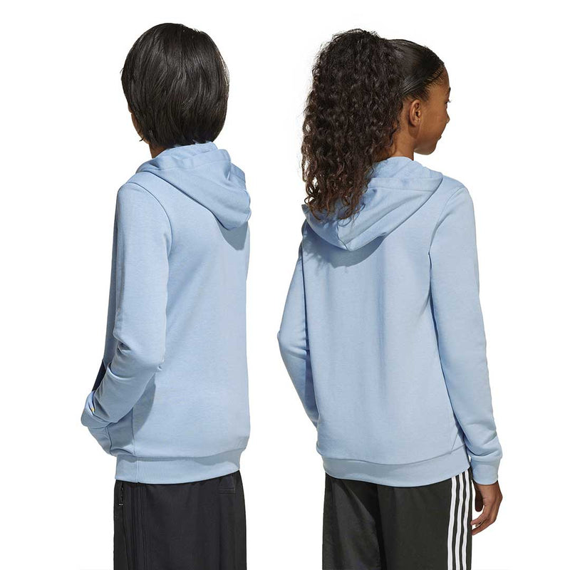 adidas - Kids' (Junior) AFA Argentina 50th Anniversary DNA Hoodie (JM2849)