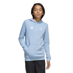 adidas - Kids' (Junior) AFA Argentina 50th Anniversary DNA Hoodie (JM2849)