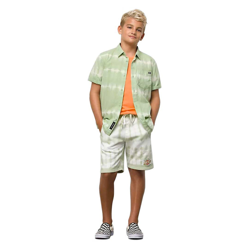 Vans shorts sales kids Green