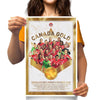 2021 Canada Soccer Womens National Team Gold Poster (CS-PR1216)
