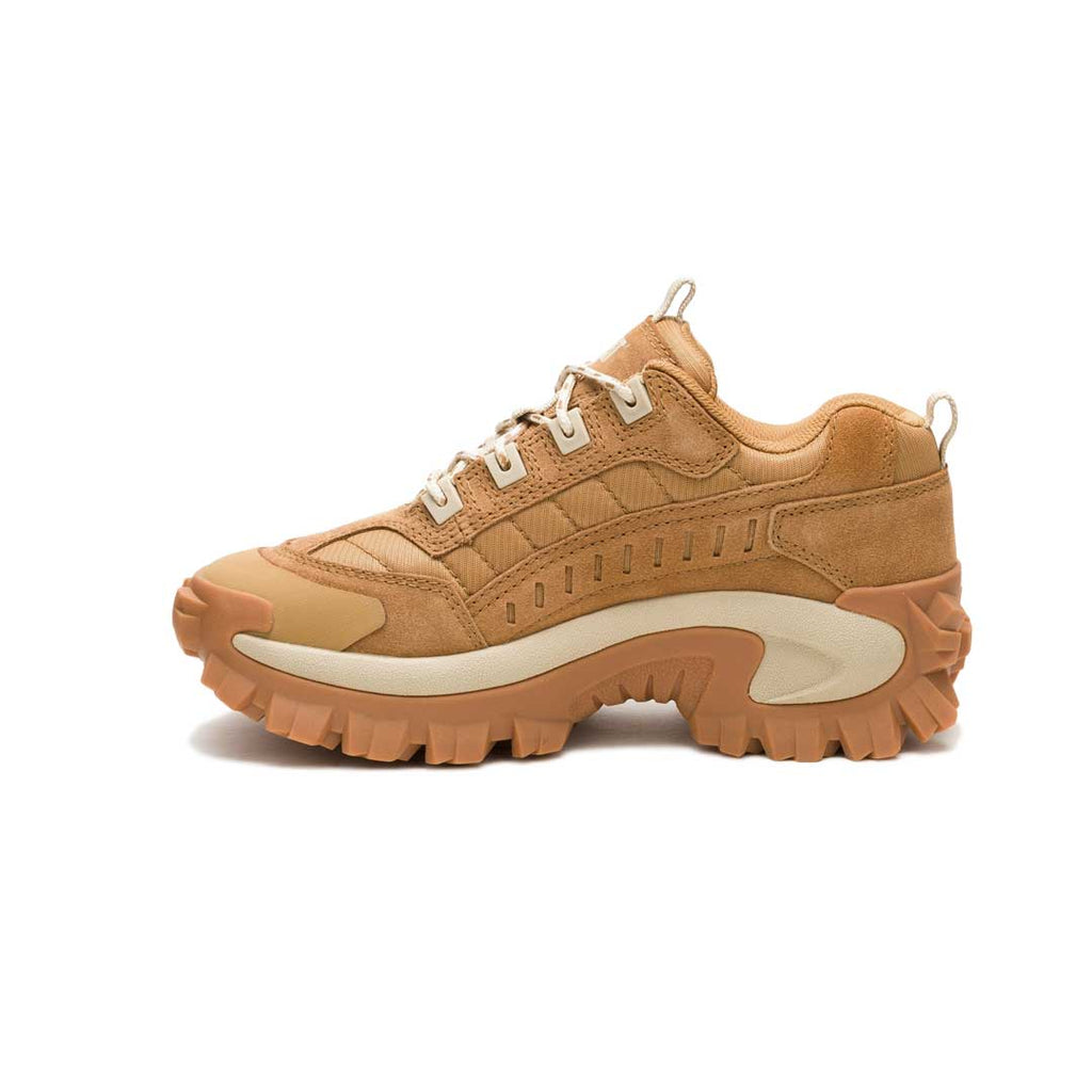 CAT (Caterpillar)  - Unisex Intruder Shoes (P726246)