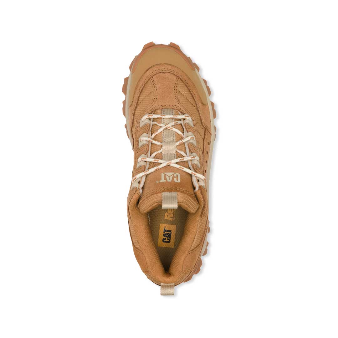 CAT (Caterpillar) - Unisex Intruder Shoes (P726246) – SVP Sports