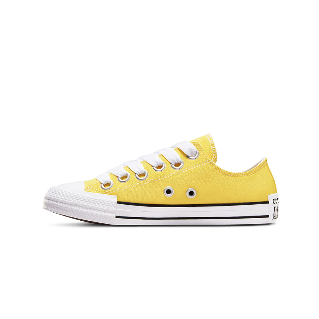 Converse - Unisex Chuck Taylor All Star Sketch Low Top Shoes