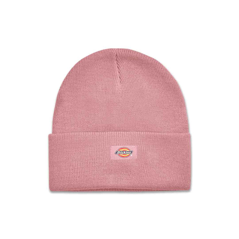 Dickies - Bonnet en tricot à revers (WH201 F2G) 