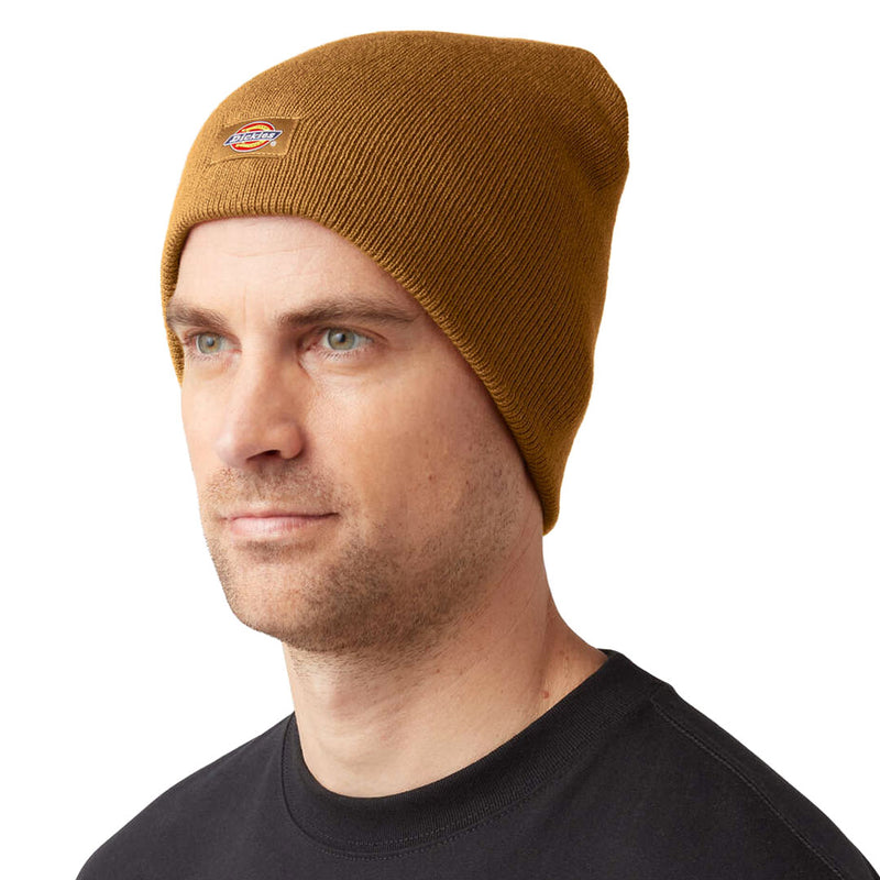 Dickies - Knit Insulated Beanie (WH202 BD)