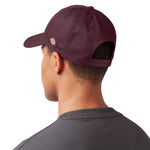 Dickies - Men's 874® Twill Cap (WH101MR)