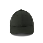 Dickies - Men's 874® Twill Cap (WH101OG)