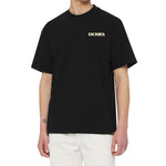Dickies - Men's Knit Herndon T-Shirt (WSR88KBK)