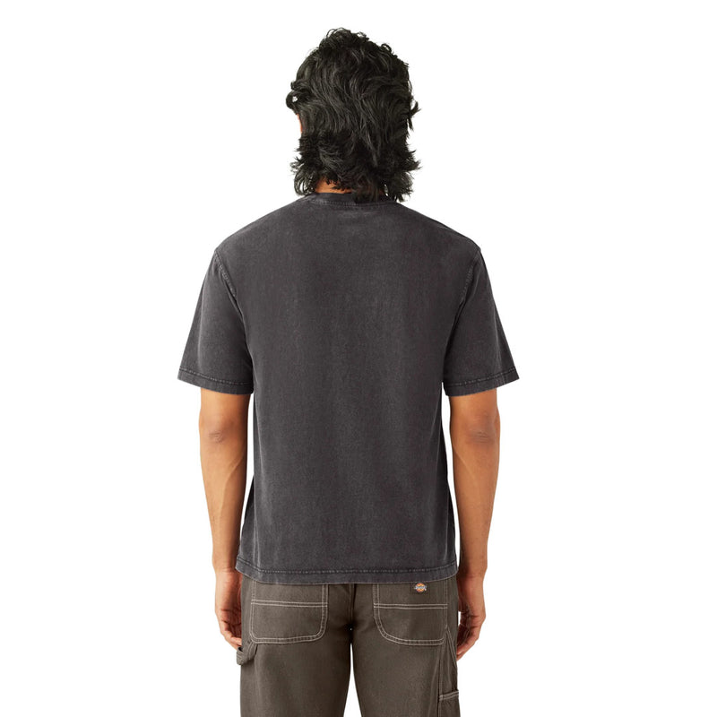 Dickies - Men's Knit Plentywood Short Sleeve T-Shirt (A866BH86)