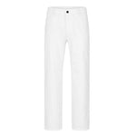 Dickies - Men's Performance Painter Pant (A87630WH)
