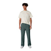 Dickies - Men's Skateboarding Twill Pant (WPSK67LN)