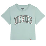 Dickies - Women's Aitkin Knit Boxy Fit Short Sleeve T-Shirt (FSR111J59)