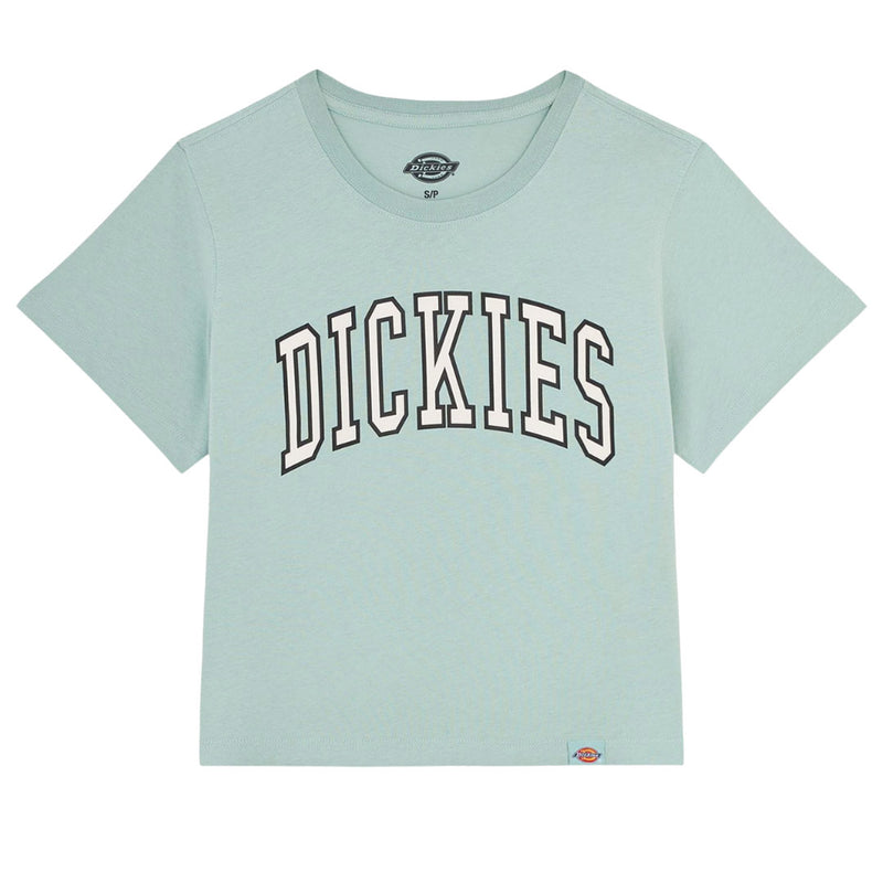 Dickies - Women's Aitkin Knit Boxy Fit Short Sleeve T-Shirt (FSR111J59)