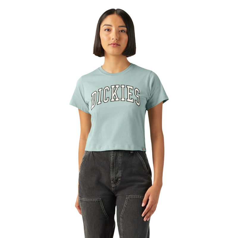 Dickies - Women's Aitkin Knit Boxy Fit Short Sleeve T-Shirt (FSR111J59)