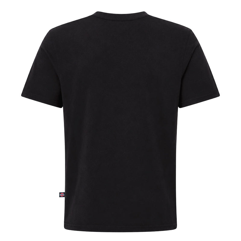 Dickies - Women's Knit Short Sleeve T-Shirt (FSR69KBK)