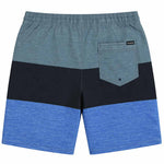 Hurley - Men's Colour Blocked Volley Swim Shorts (HSP25VMS-11221 405)