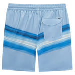 Hurley - Men's Horizon Stripes Volley Swim Shorts (HSP26VMS-22569 405)