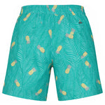 Hurley - Men's Pina Volley Swim Shorts (HSP26VMS-21485 362)