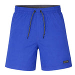 Hurley - Men's Solid Volley Swim Shorts (HSP25VMS-17364 423)