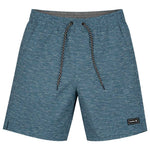 Hurley - Men's Static Volley Swim Shorts (HSP22VMS-03945 043)