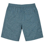 Hurley - Men's Static Volley Swim Shorts (HSP22VMS-03945 043)