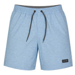 Hurley - Men's Static Volley Swim Shorts (HSP22VMS-03945 405)