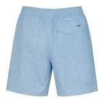 Hurley - Men's Static Volley Swim Shorts (HSP22VMS-03945 405)
