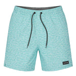 Hurley - Men's Static Volley Swim Shorts (HSP22VMS-03945 477)