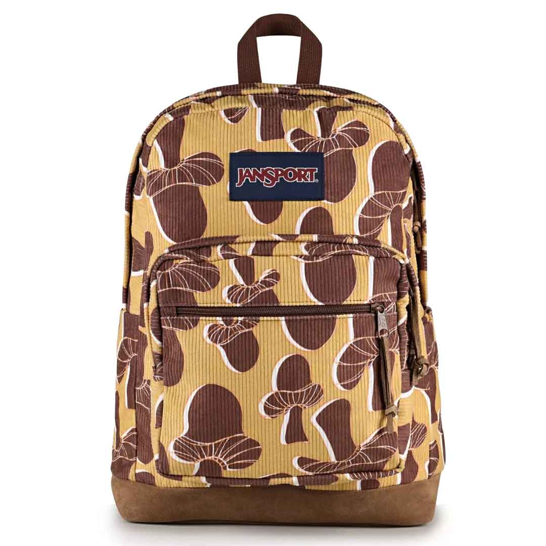 jansport right pack expressions backpack review A front utility pocket with a zippered rain flap opening offers quick access and weather protection JanSport Right Expressions Backpack Aged