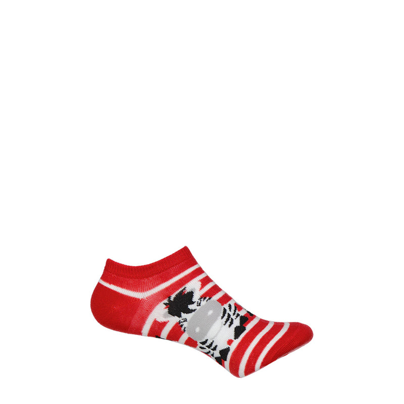 K.Bell - Kids' 6 Pack Noahs Ark No Show Socks (KBKS18C001-06 GYHTR)