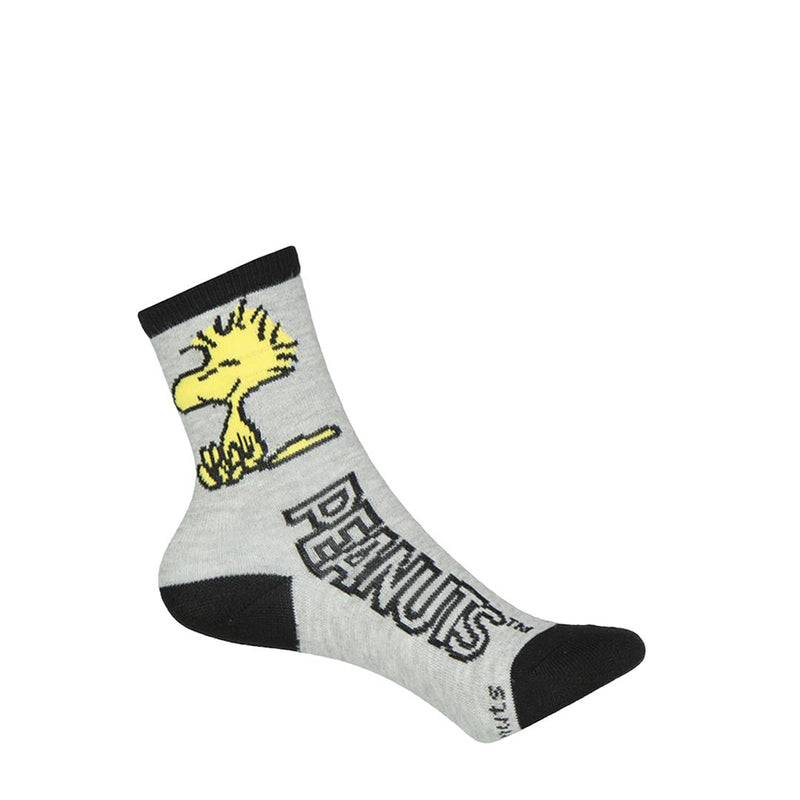 Kids' 2 Pack Peanuts Snoopy Crew Socks (3689 1511 0001)