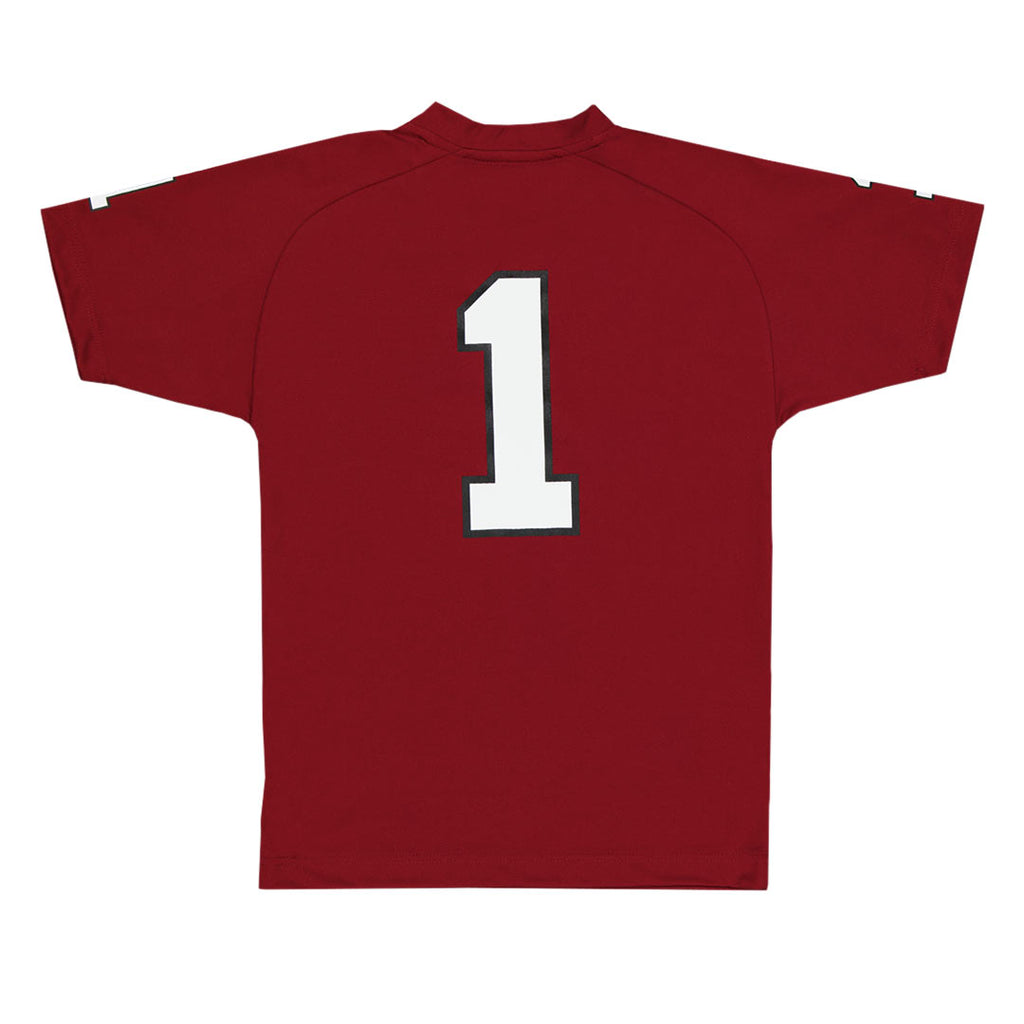 Kids' (Junior) South Carolina Gamecocks Performance Jersey (K48NG1S8)