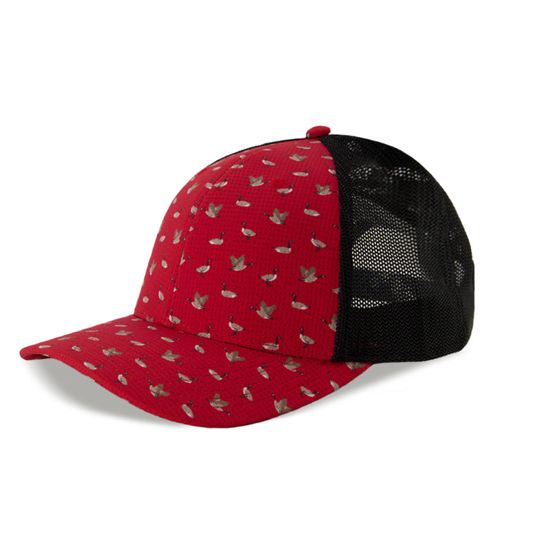 Levelwear - Pride Cap (HCB3L CPI)