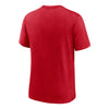 MLB - Men's St. Louis Cardinals 1967-97 Tri-Blend T-Shirt (NKFE 62H S67 GBI)