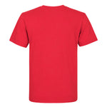 MLB - Kids' (Junior) Lehigh Valley IronPigs Short Sleeve T-Shirt (M8N461F IRONPIGS)