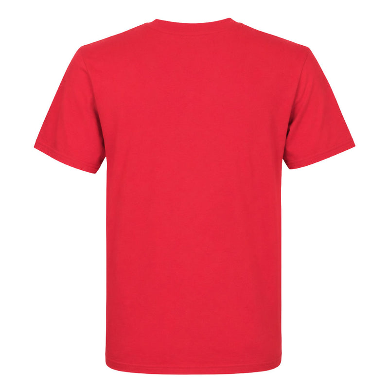 MLB - Kids' (Junior) Lehigh Valley IronPigs Short Sleeve T-Shirt (M8N461F IRONPIGS)