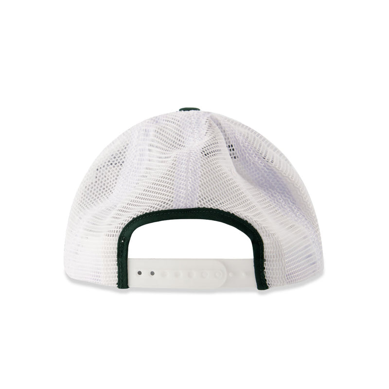 Men's Hawaii Rainbow Warriors Adjustable Curved Snapback Hat (SDC7 HI ADJ 2TN)