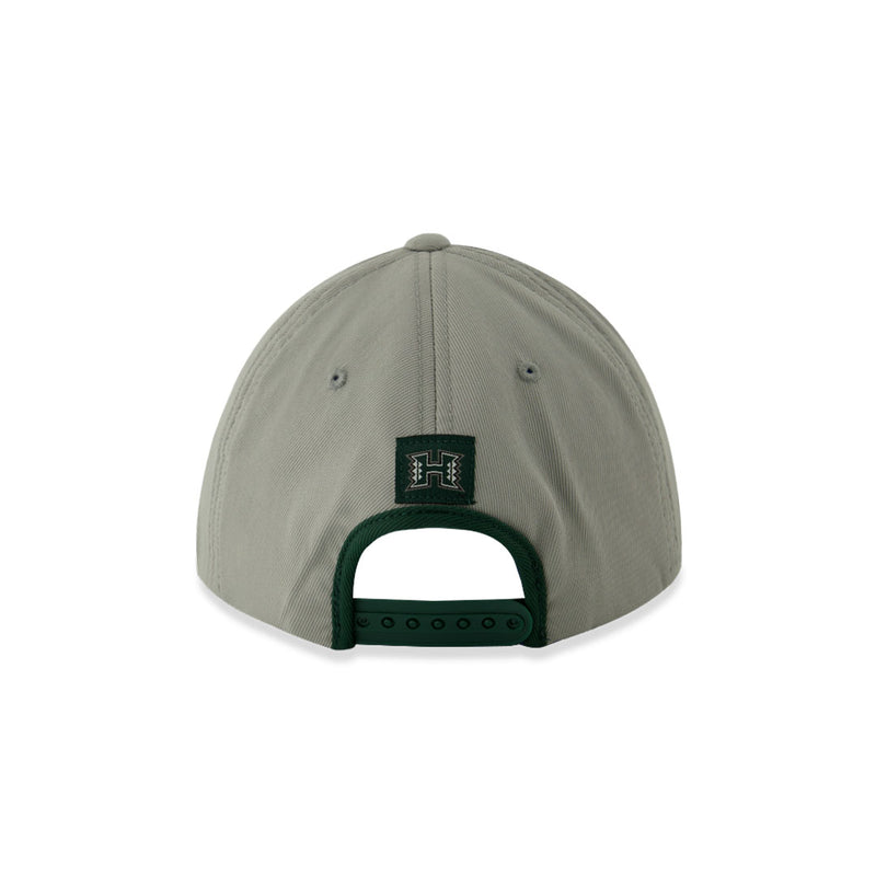 Men's Hawaii Rainbow Warriors Adjustable Curved Snapback Hat (UCNY HI ADJ 2TN)