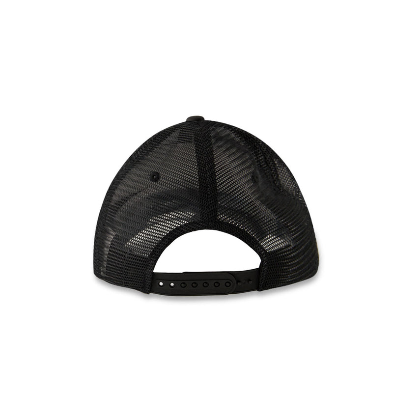Men's Iowa Hawkeyes Curved Snapback Hat (CHS10 IA ADJ 2TN)