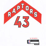 NBA  - Kids' (Junior) Toronto Raptors Pascal Siakam Swingman Jersey (HZ2B7BX1P00 RAPPS)