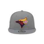 New Era - Toronto Blue Jays 9FIFTY Colour Pack Snapback Hat (60369140)