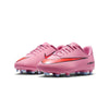 Nike - Kids' (Preschool & Junior) Mercurial Vapor 10 Club Firm/Multi Ground Cleats (FQ8286 600)