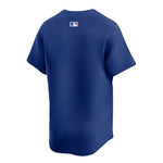 Nike - Men's Chicago Cubs Blank Jersey (T7GM EJA1 EJ G23)